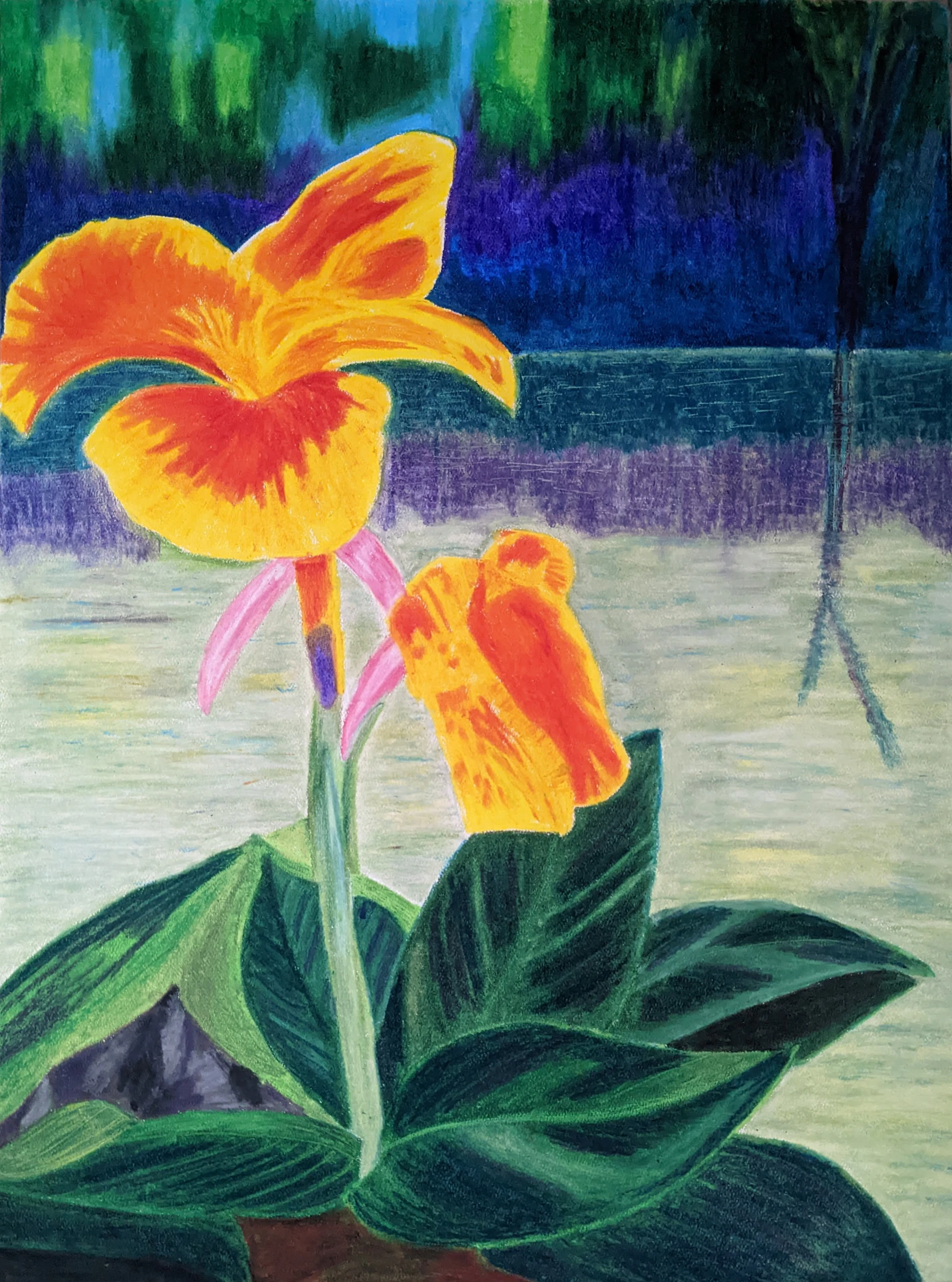 Vivid study of an orange canna lily with green leaves against a blue and purple background.